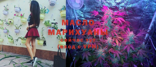 прущие грибы Абаза