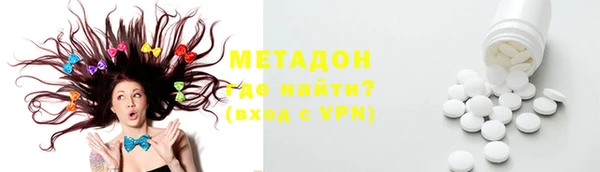 прущие грибы Абаза