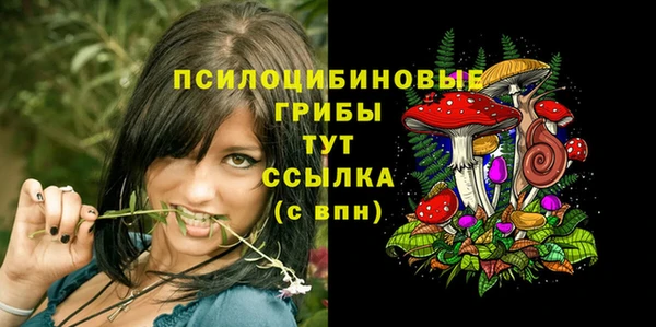 дмт Алзамай