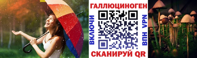 Галлюциногенные грибы MAGIC MUSHROOMS Новокубанск