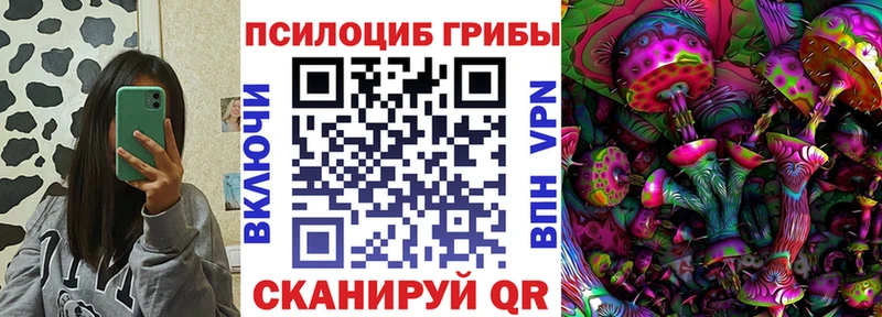 Галлюциногенные грибы MAGIC MUSHROOMS  продажа наркотиков  Новокубанск 